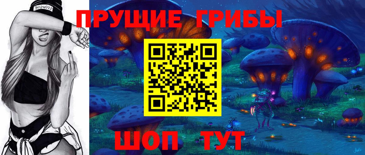 Псилоцибиновые грибы Psilocybine cubensis  Вход с VPN  Братск 