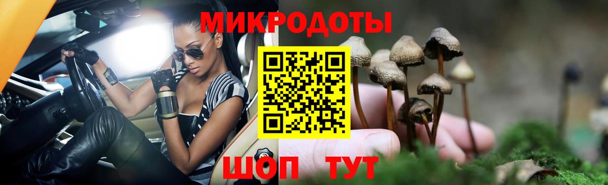 Псилоцибиновые грибы мухоморы Братск